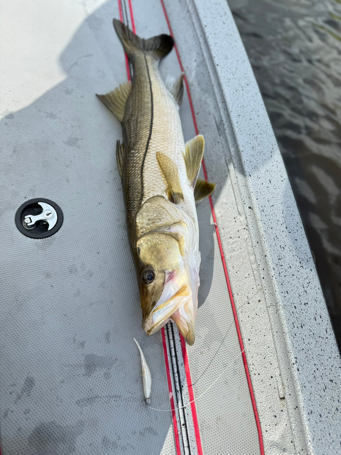 SFKL - 3.5" Tracer Shad Minnow FFS Series